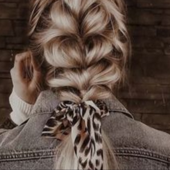 Meet your Posher, Jojo - Picture 1 of 1